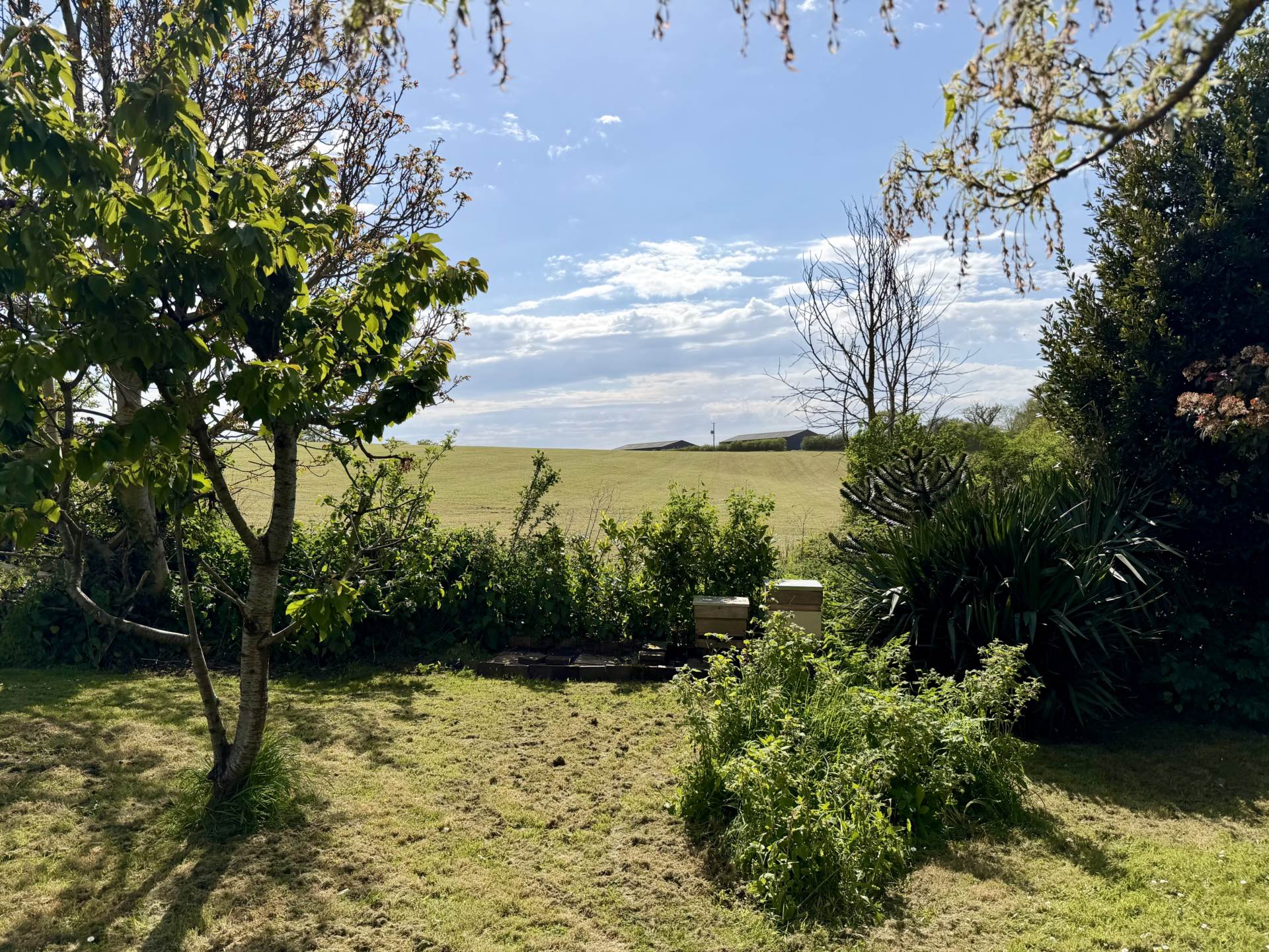Exmouth Road, Lympstone, Image 19