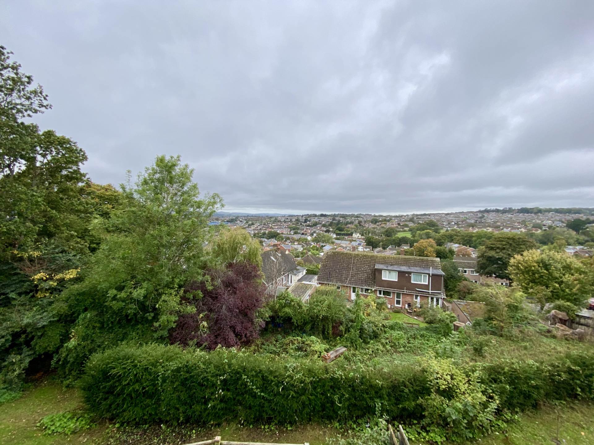 Drakes Gardens, Exmouth, Image 17