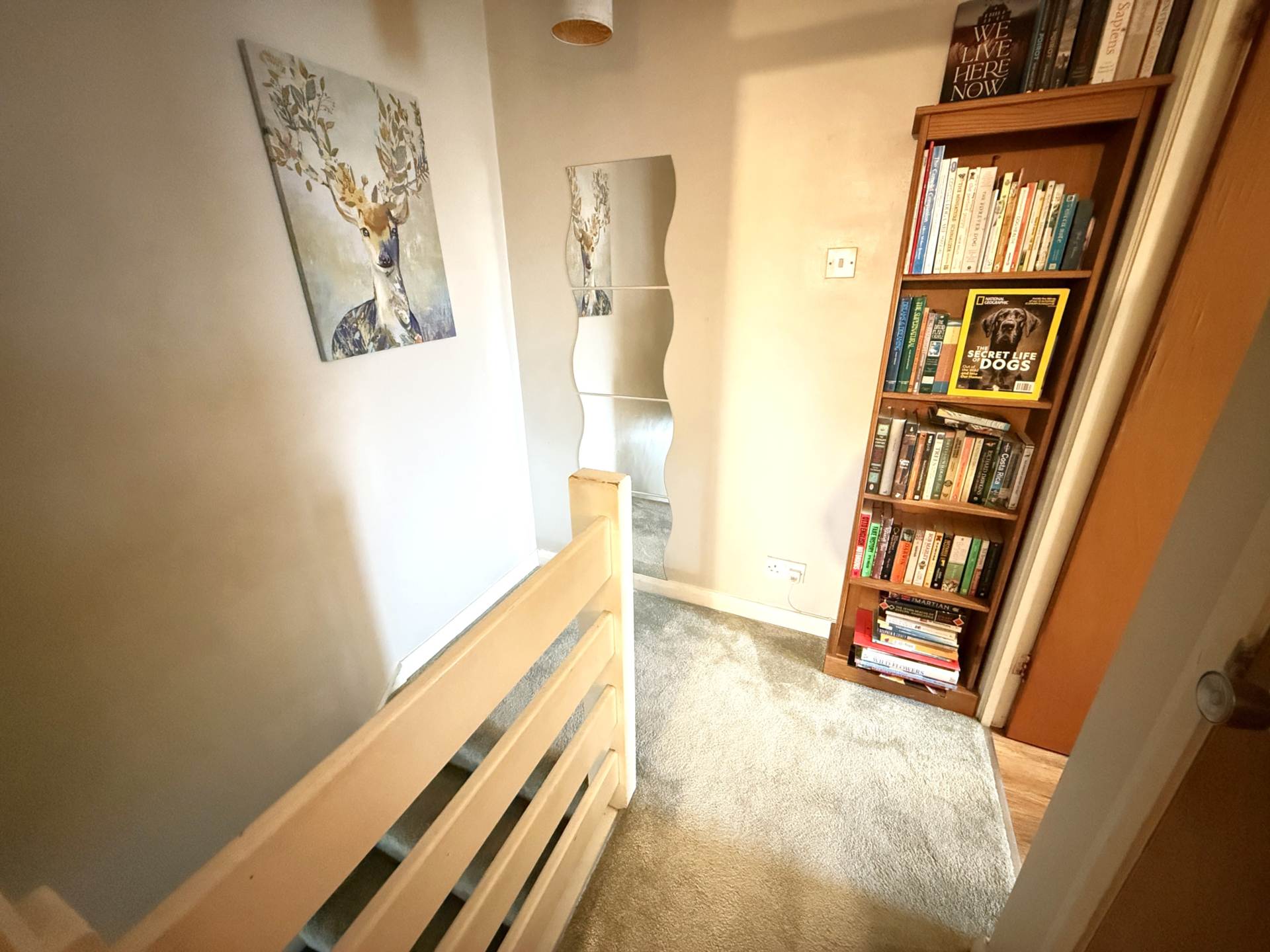 Fulford Way, Woodbury, Image 12