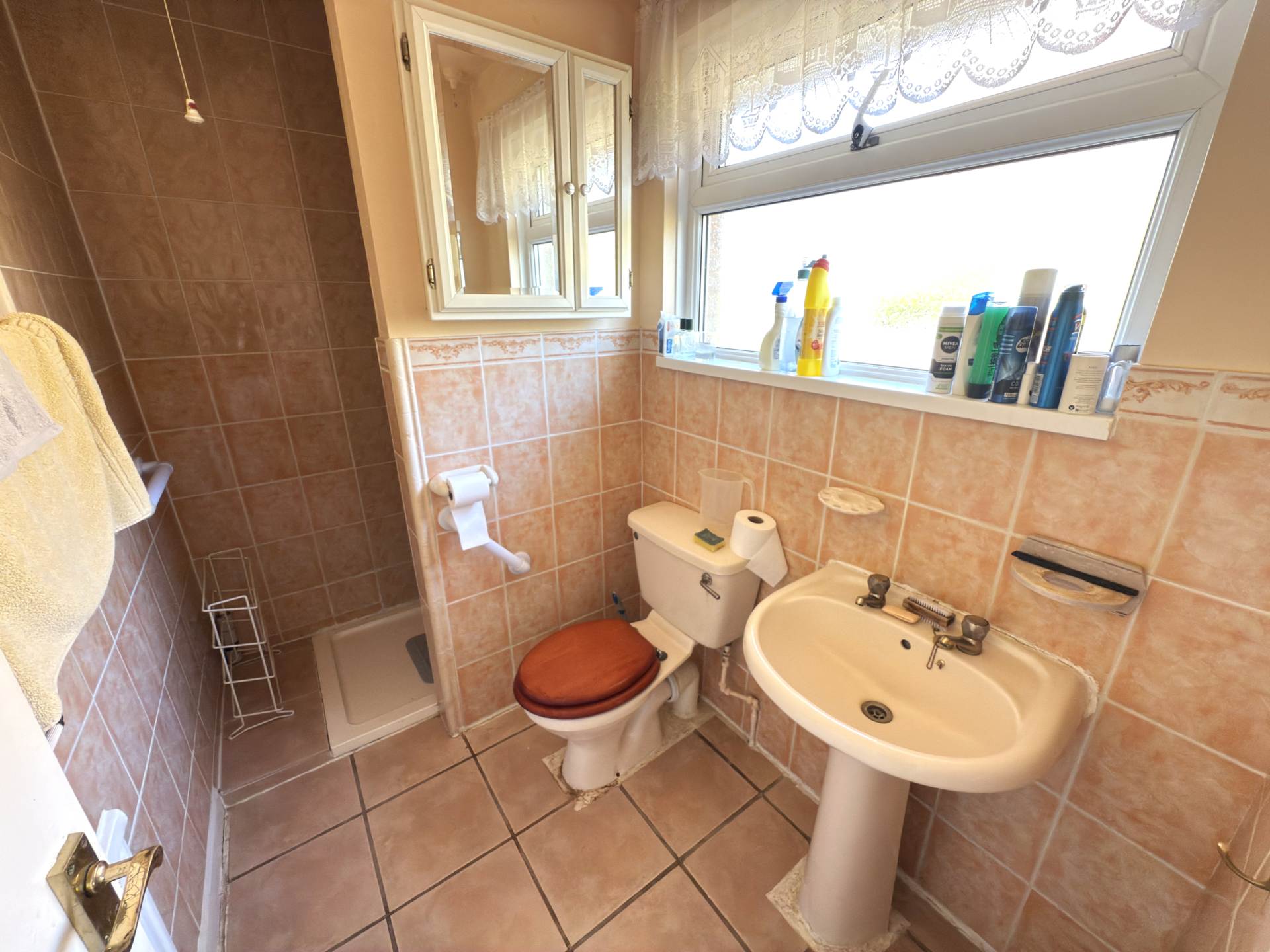 Douglas Avenue, Exmouth, Image 9