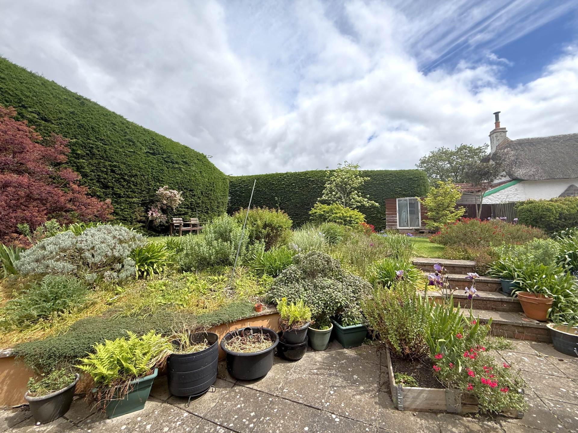 Withycombe Village Road, Exmouth, Image 12