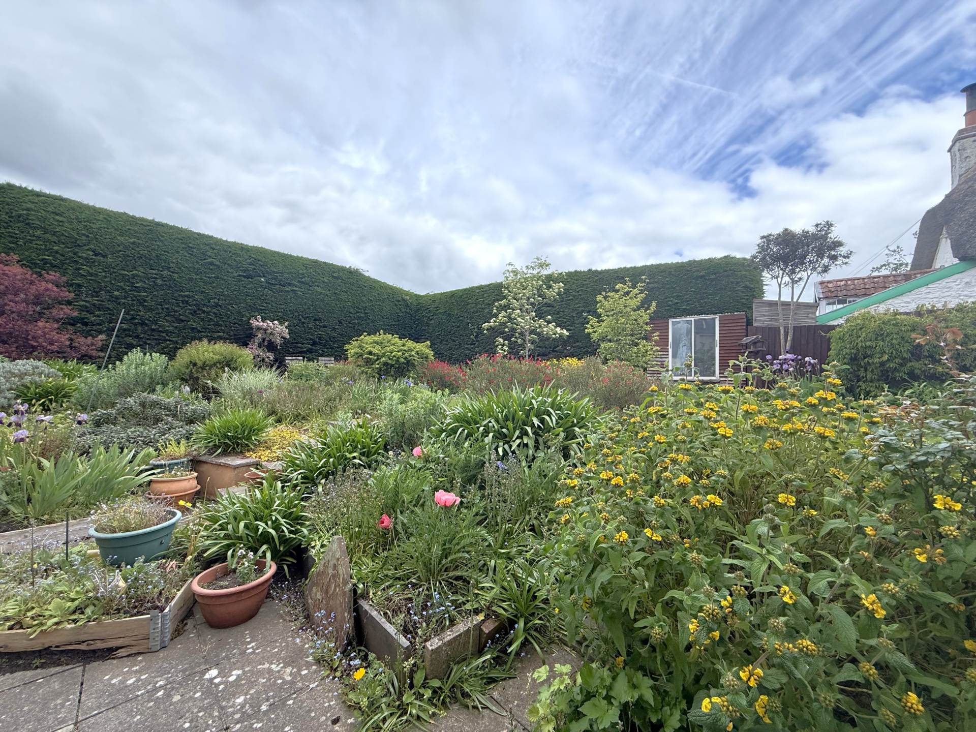 Withycombe Village Road, Exmouth, Image 13