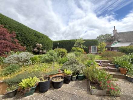 Withycombe Village Road, Exmouth, Image 12