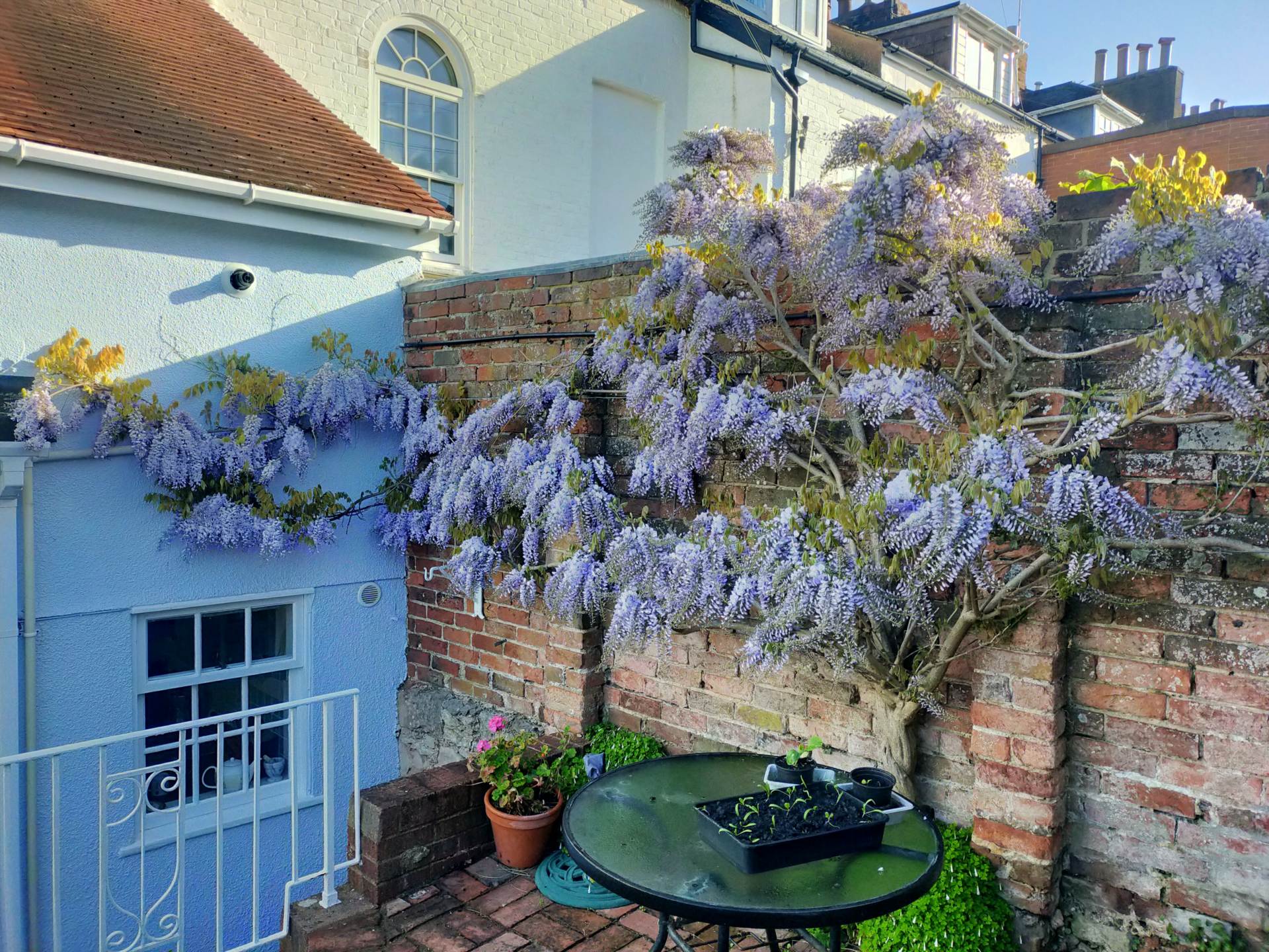 Bicton Street, Exmouth, Image 20