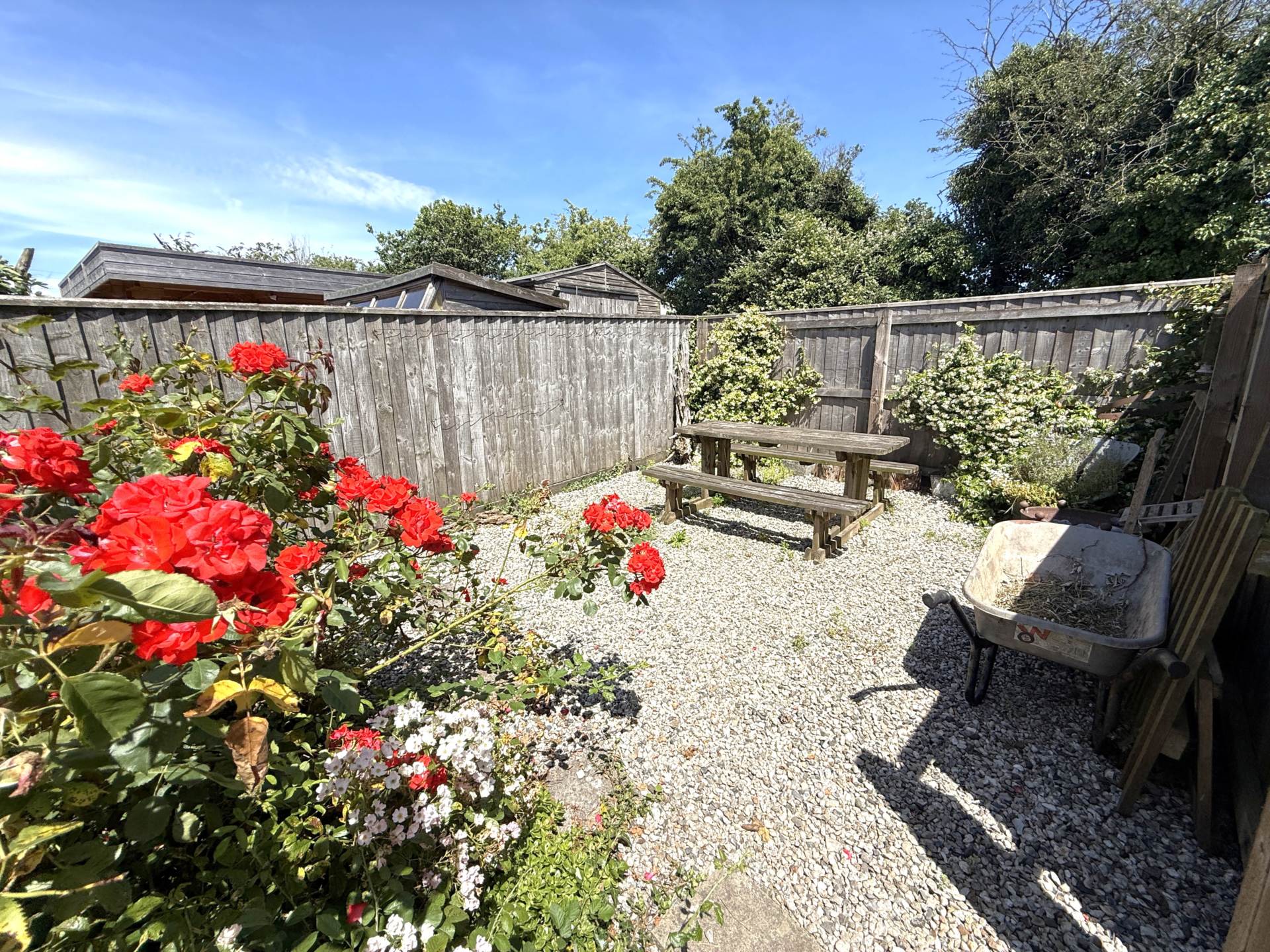 Castle Lane, Exmouth, Image 16