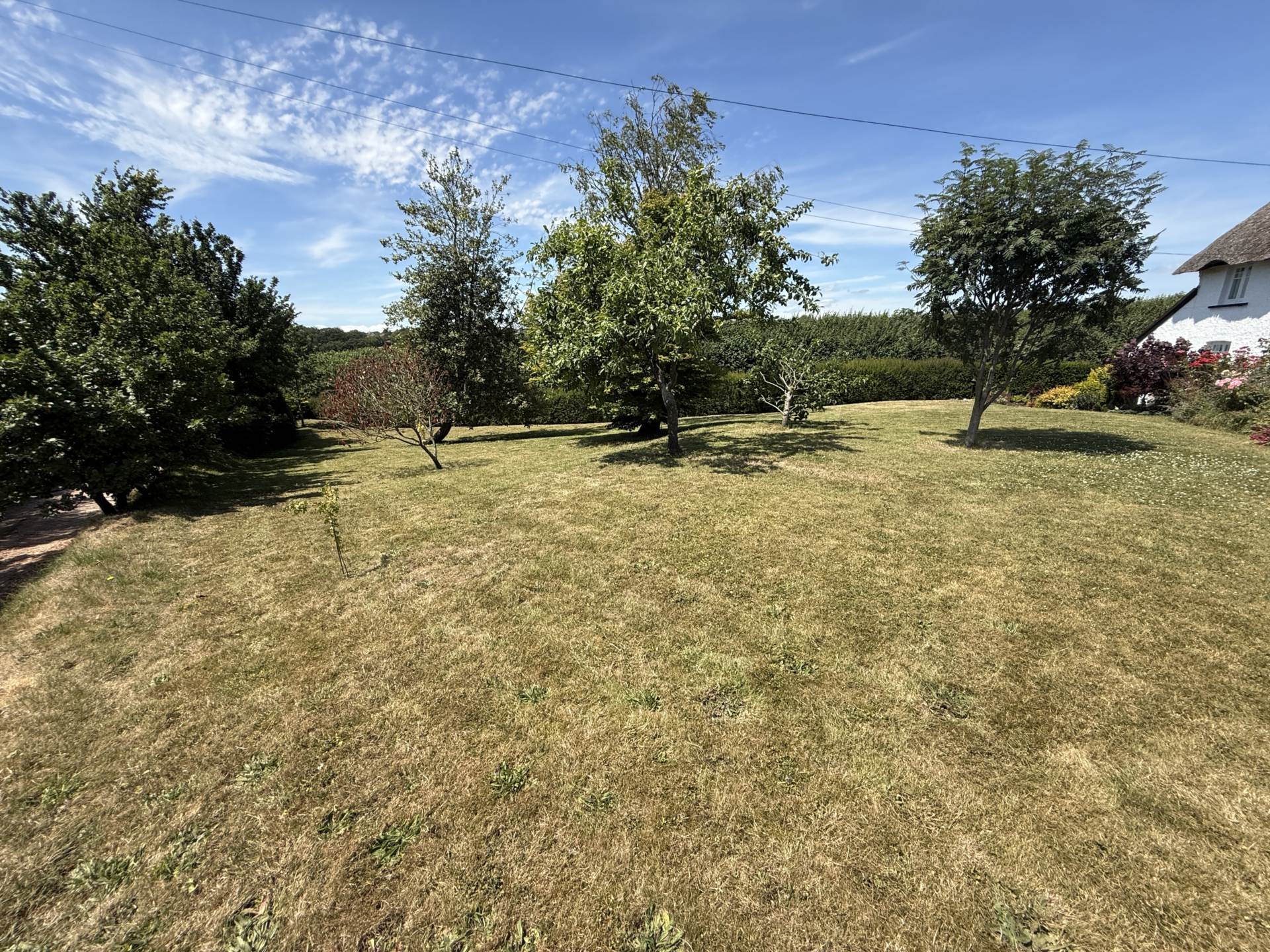 Castle Lane, Exmouth, Image 19