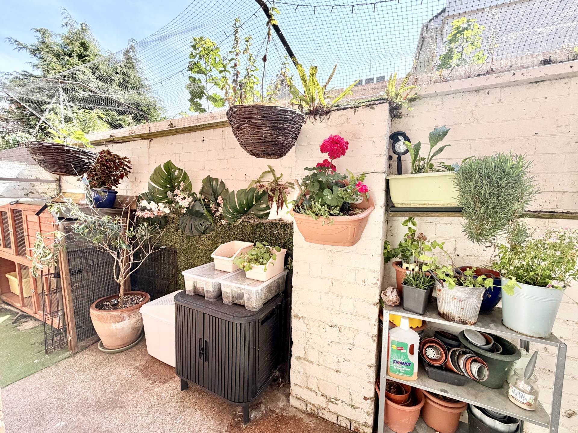 All Saints Mews, Exmouth, Image 11