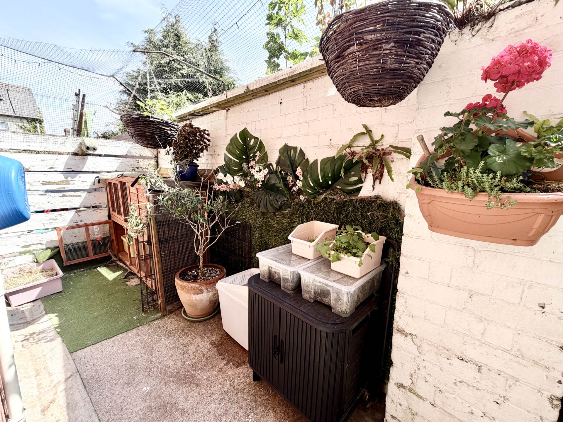 All Saints Mews, Exmouth, Image 16