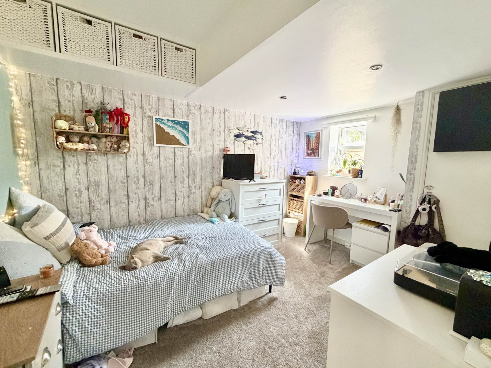 All Saints Mews, Exmouth, Image 7