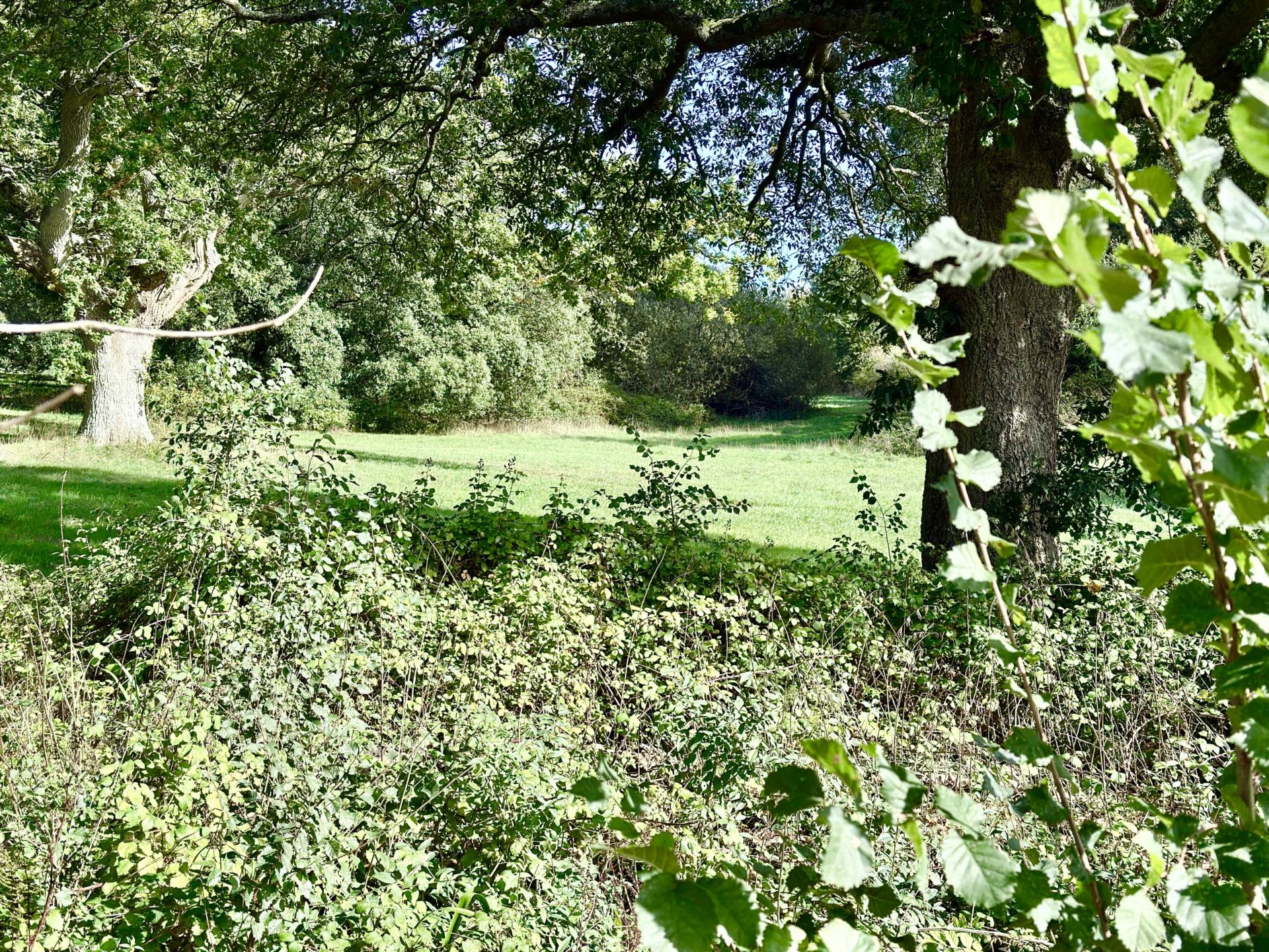 Fieldfare Crescent, Exmouth, Image 19
