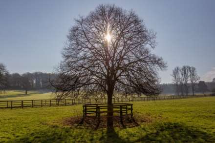 Pendley Farm, Tring, Image 19