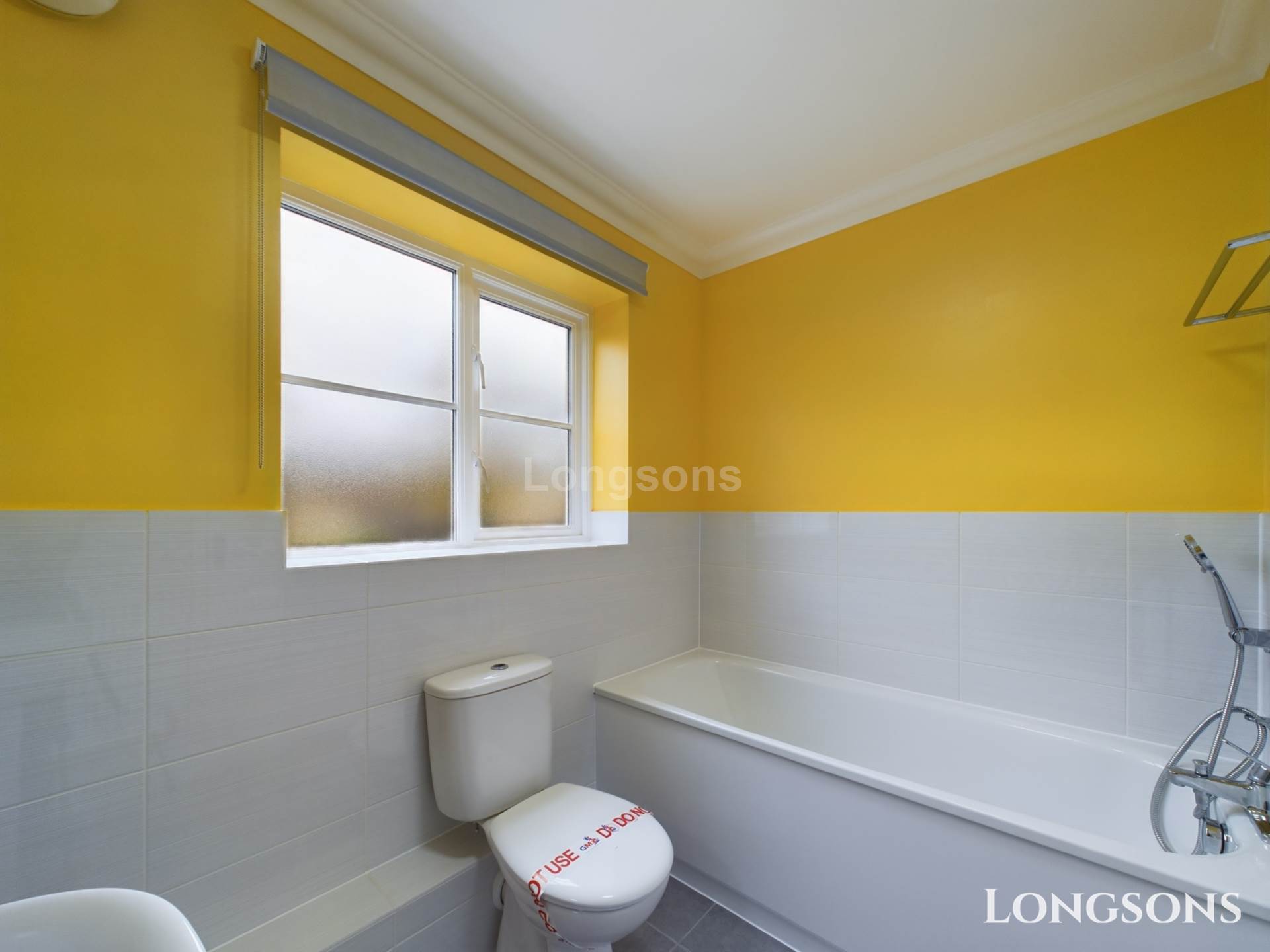 Woodward Avenue, Necton, Image 9