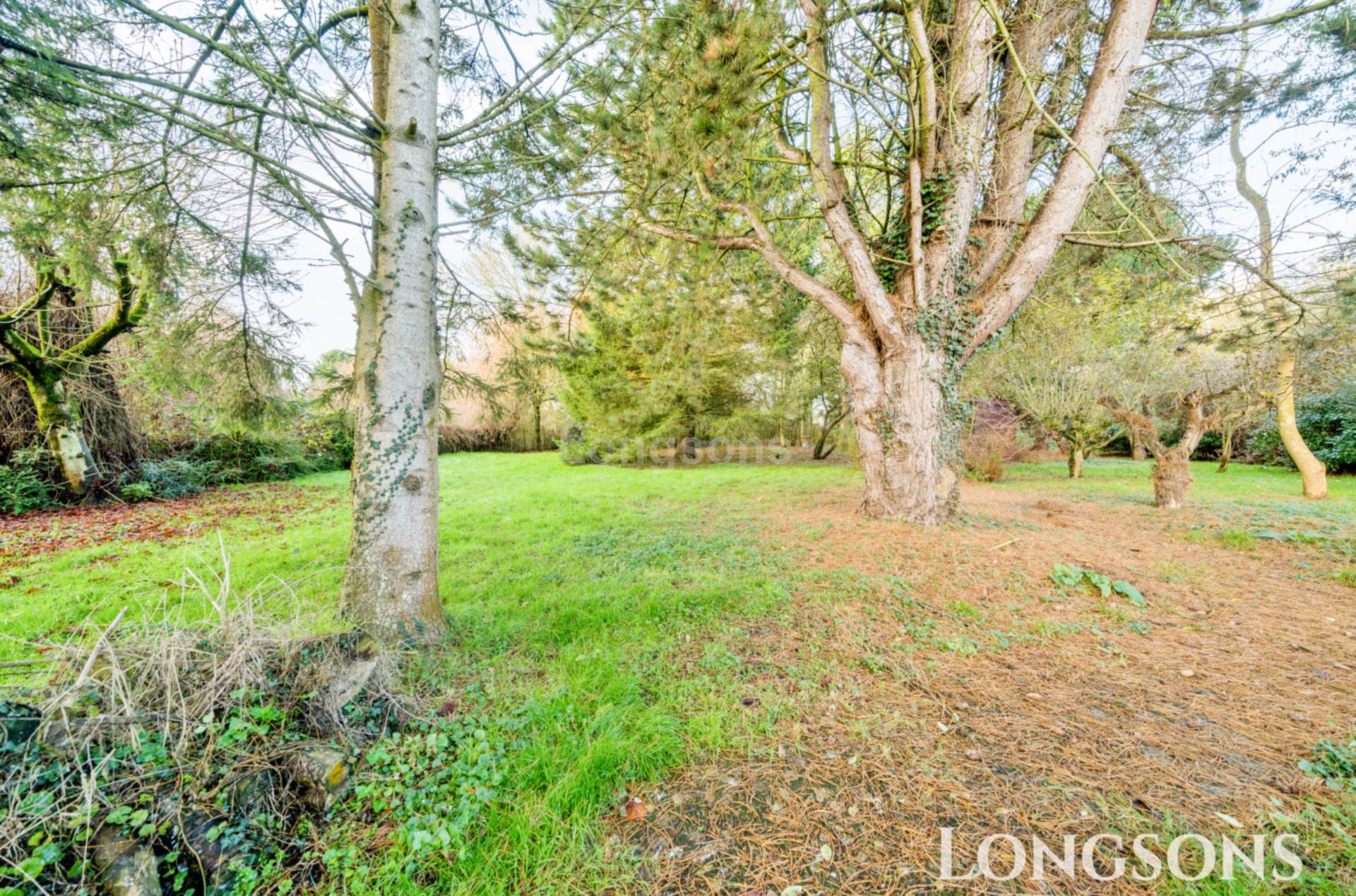 Thompson Road, Griston, Image 12