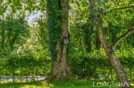 Church Road, Ovington, Image 22
