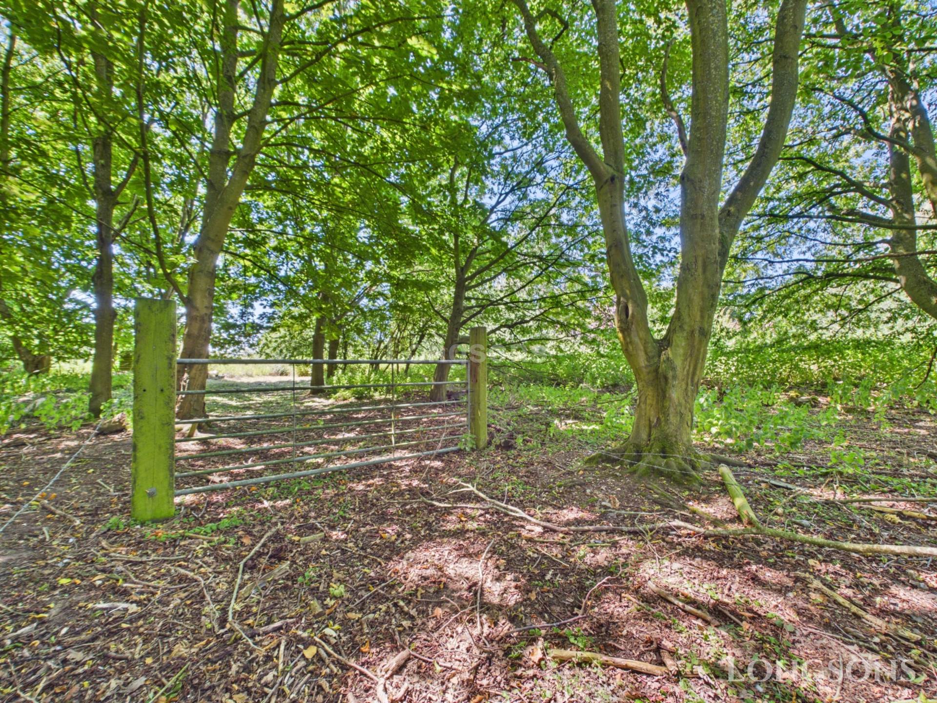 Church Lane, Holme Hale, Image 3