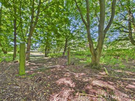 Church Lane, Holme Hale, Image 3