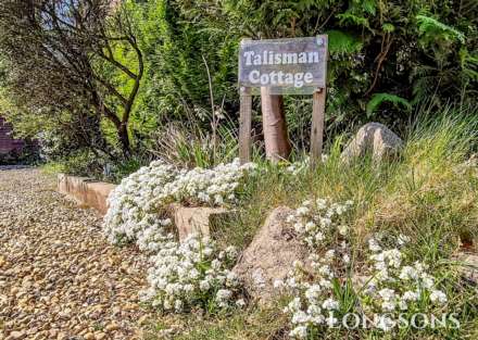 Chalk Hill, Great Cressingham, Image 15