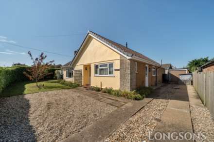 Mill Farm Nurseries, Swaffham, Image 1