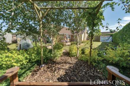 Mill Farm Nurseries, Swaffham, Image 16