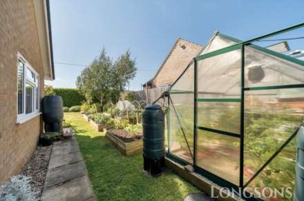 Mill Farm Nurseries, Swaffham, Image 17