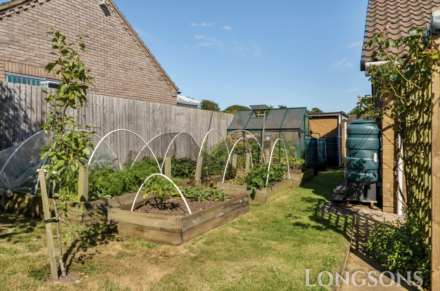 Mill Farm Nurseries, Swaffham, Image 19