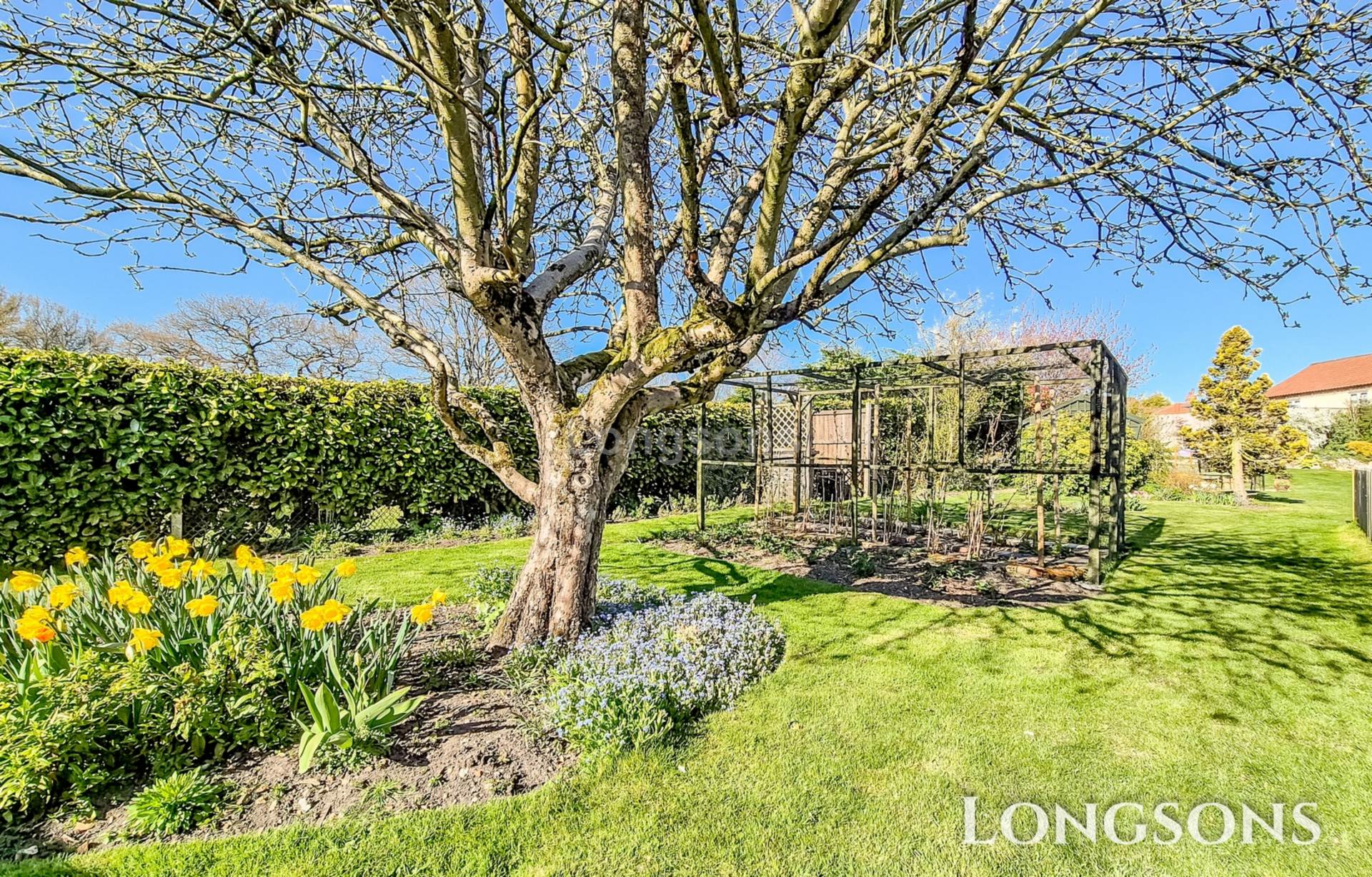 Chantry Lane, Necton, Image 19