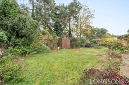 Mill Farm Nurseries, Swaffham, Image 13