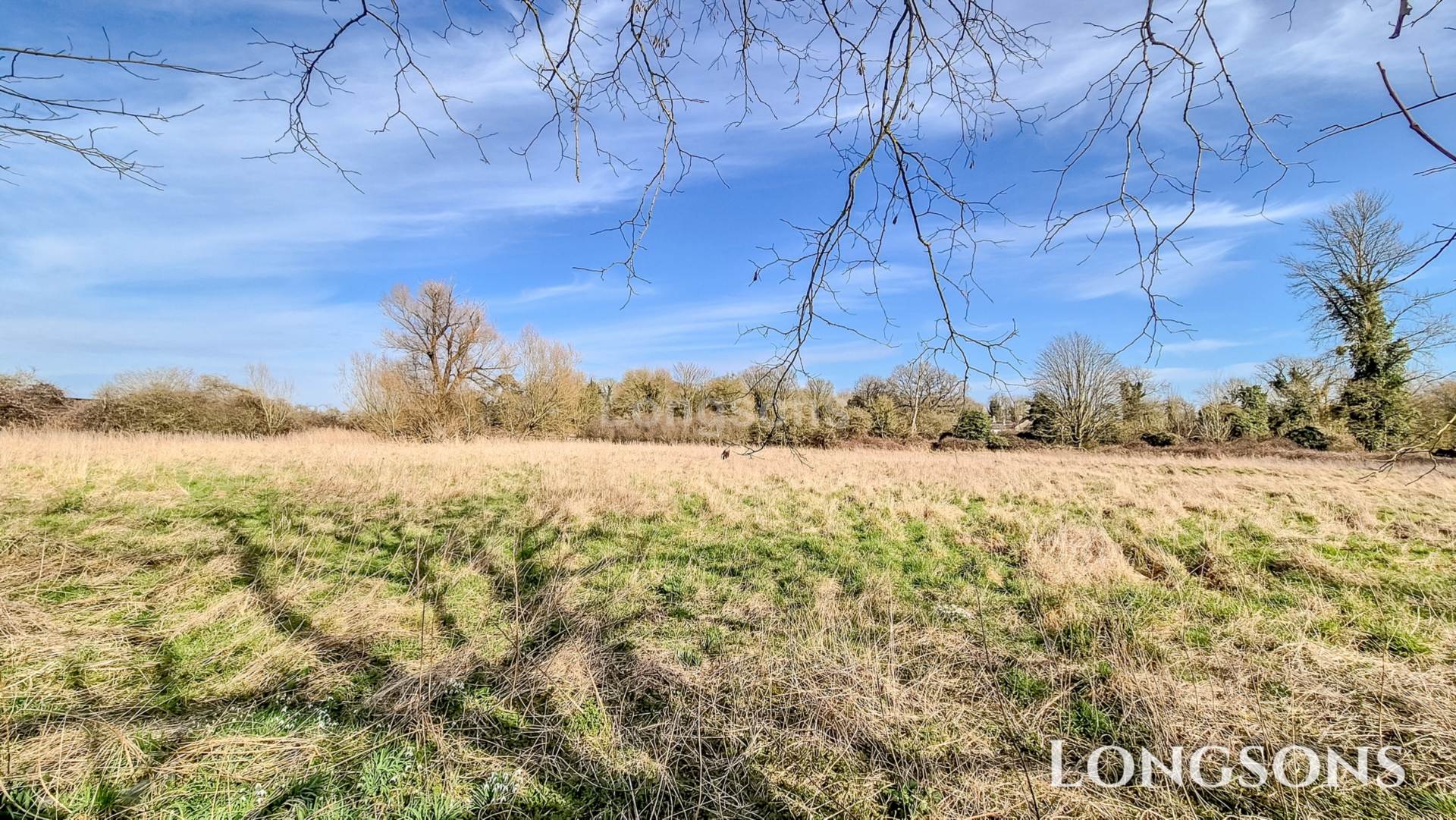 Hills Road, Saham Toney, Image 22