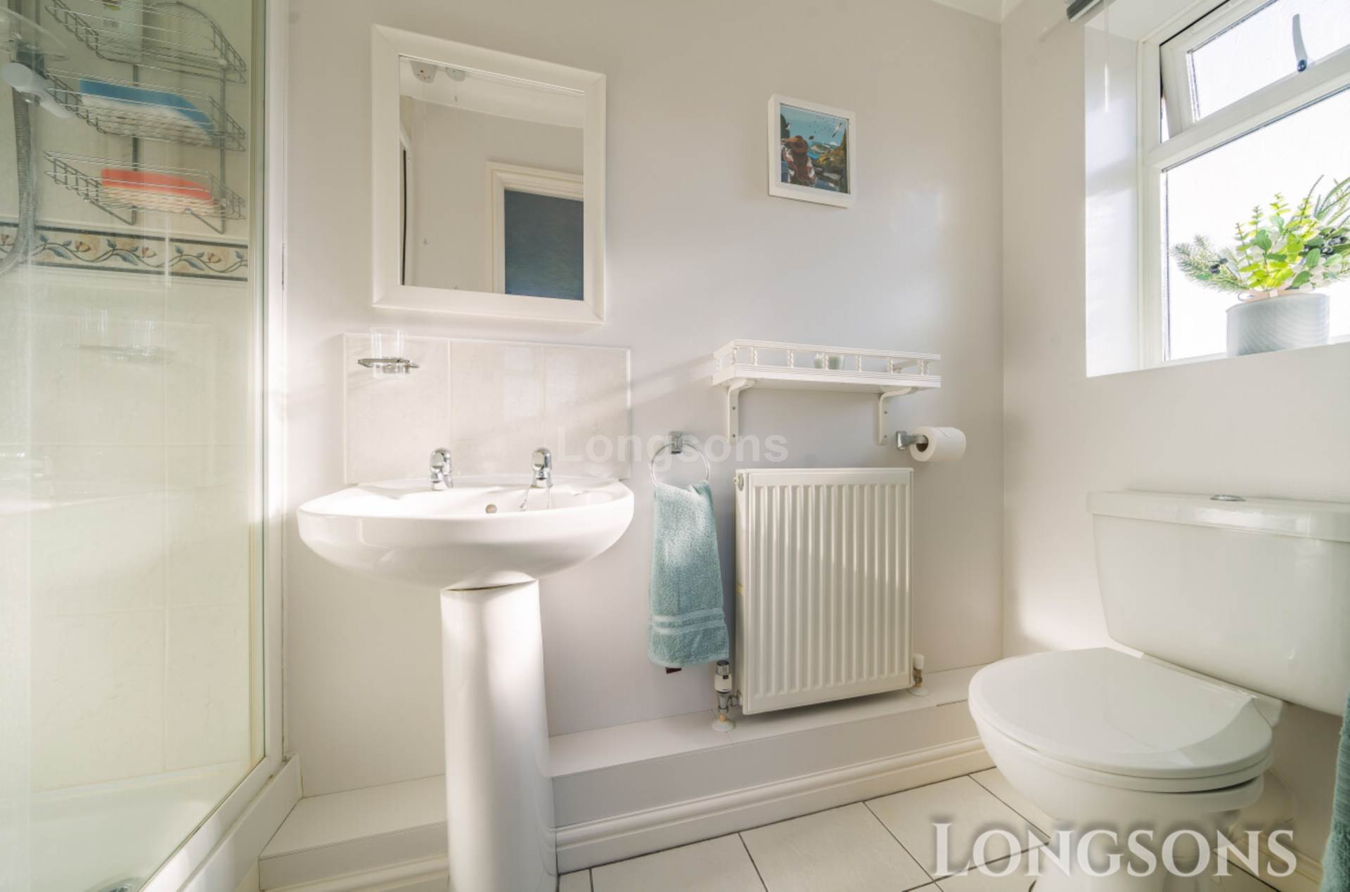 Bittern Close, Necton, Image 12