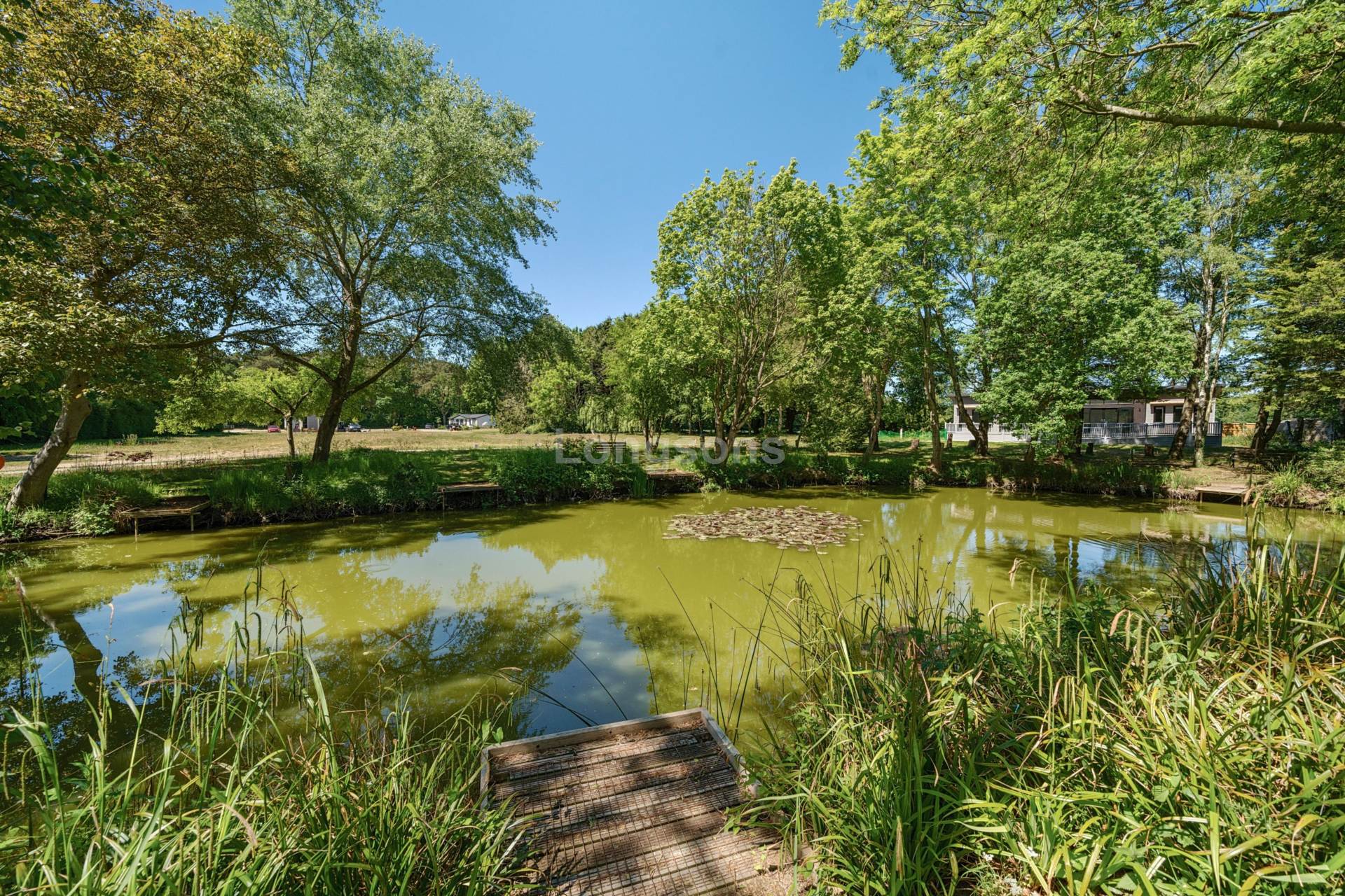 Apple Blossom Drive, Forest Edge Court, Great Hockham, Image 15