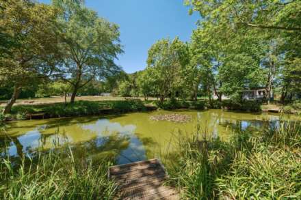 Apple Blossom Drive, Forest Edge Court, Great Hockham, Image 15