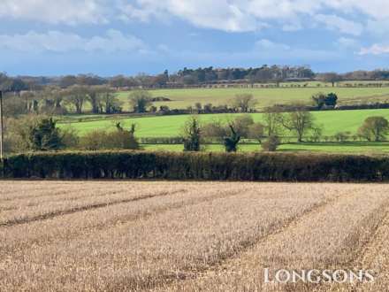 Chalk Hill, Great Cressingham, Image 9