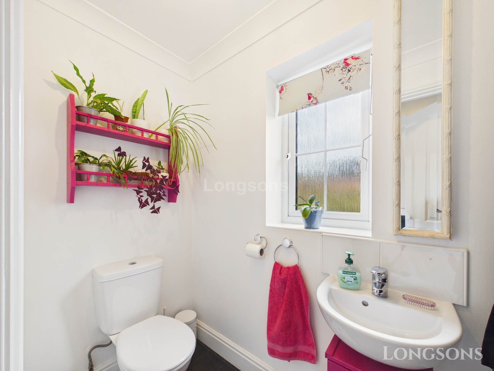 Ash Meadow, Necton, Image 10