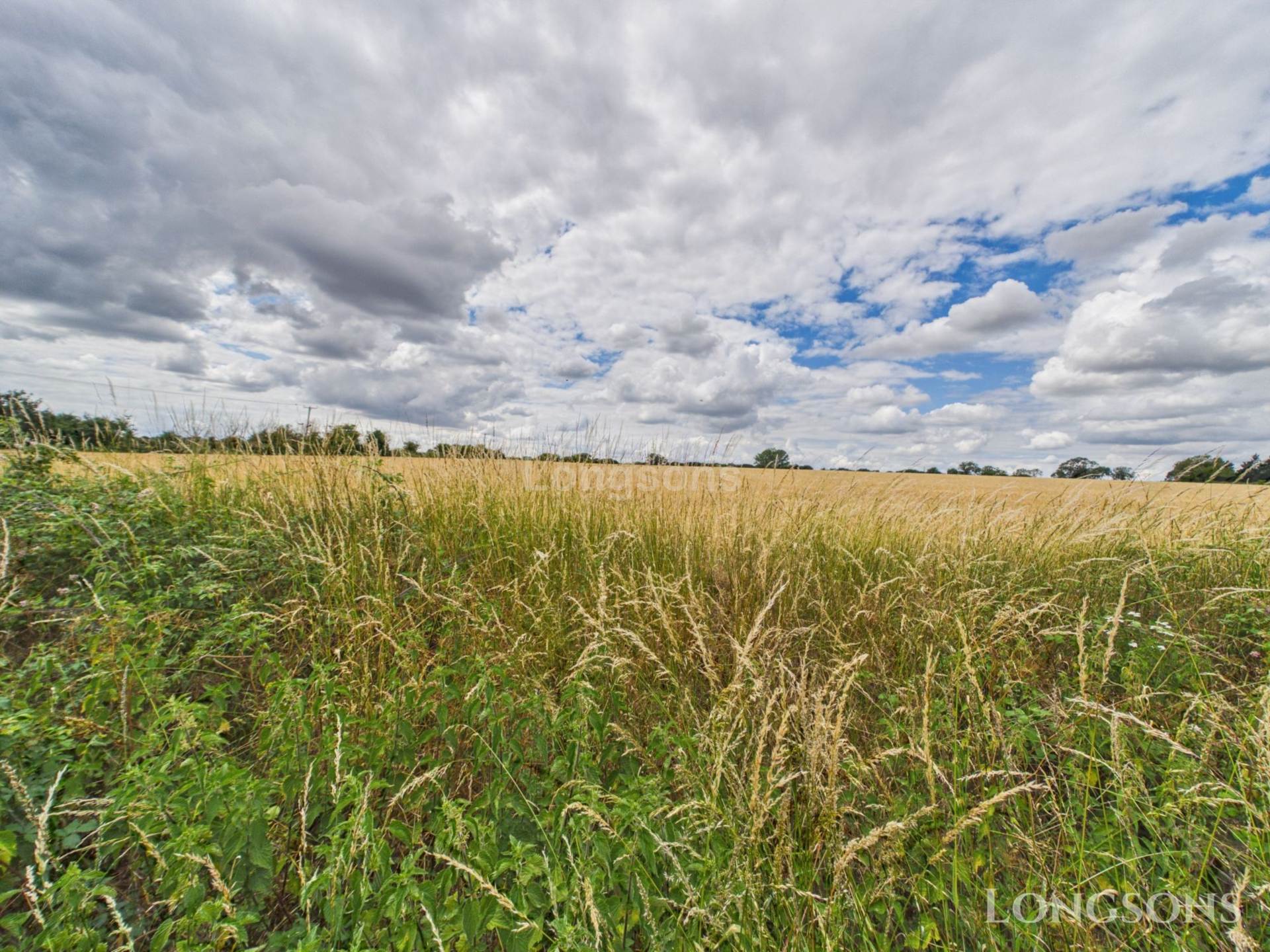 Newfields, Sporle, Image 17