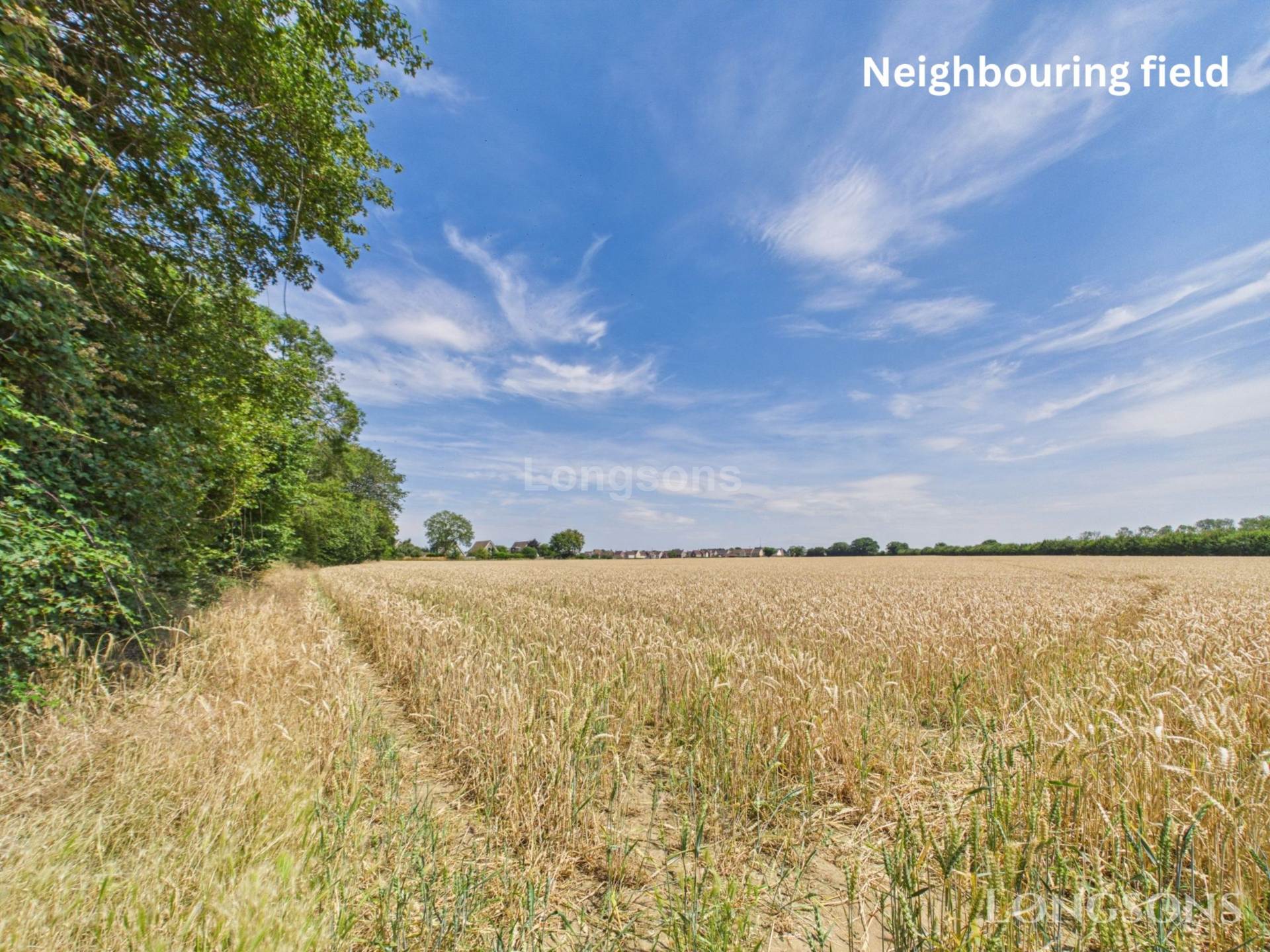Wessingham Road, Watton, Image 25