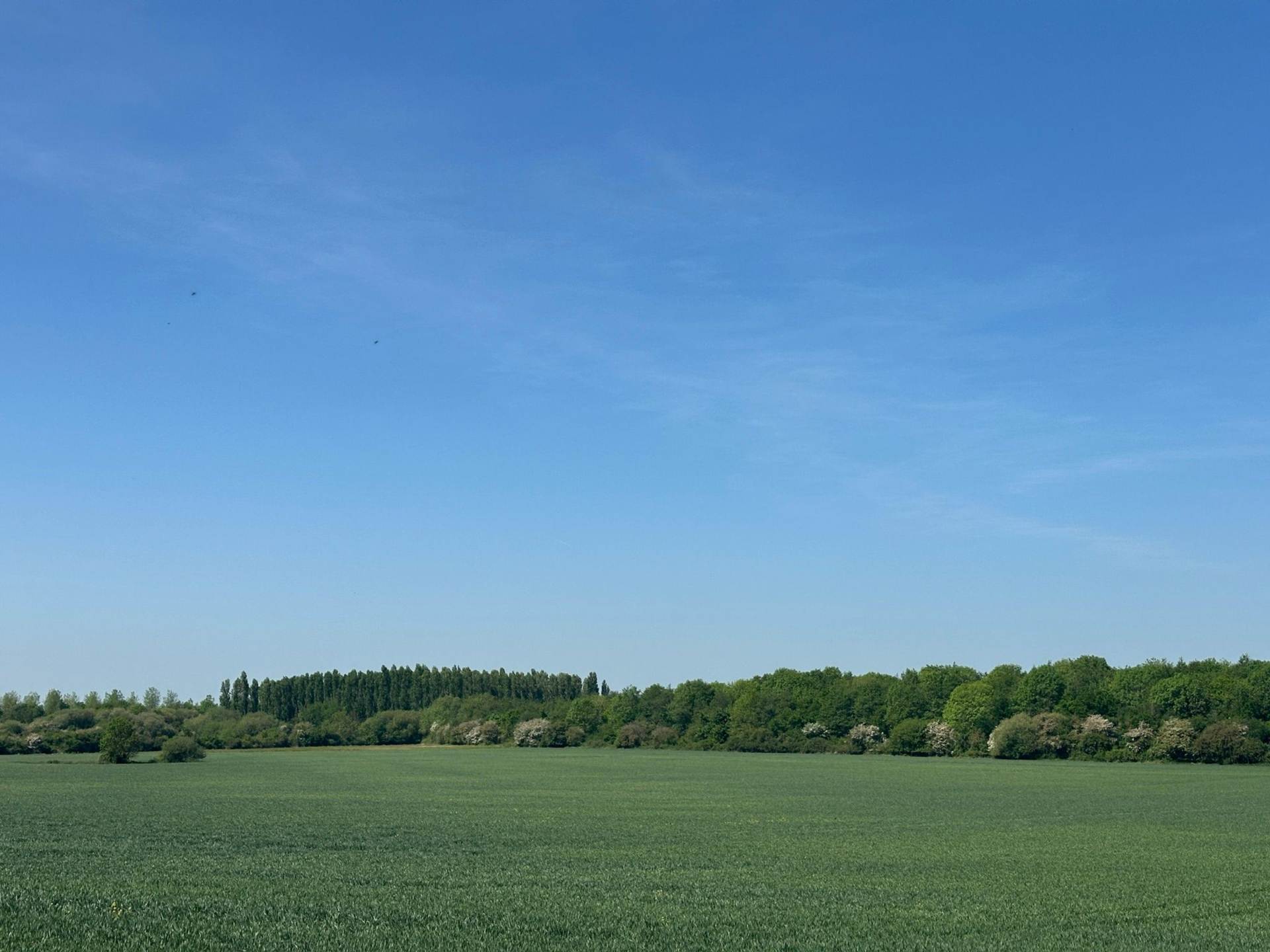 Willow Road, Bicester, Image 15