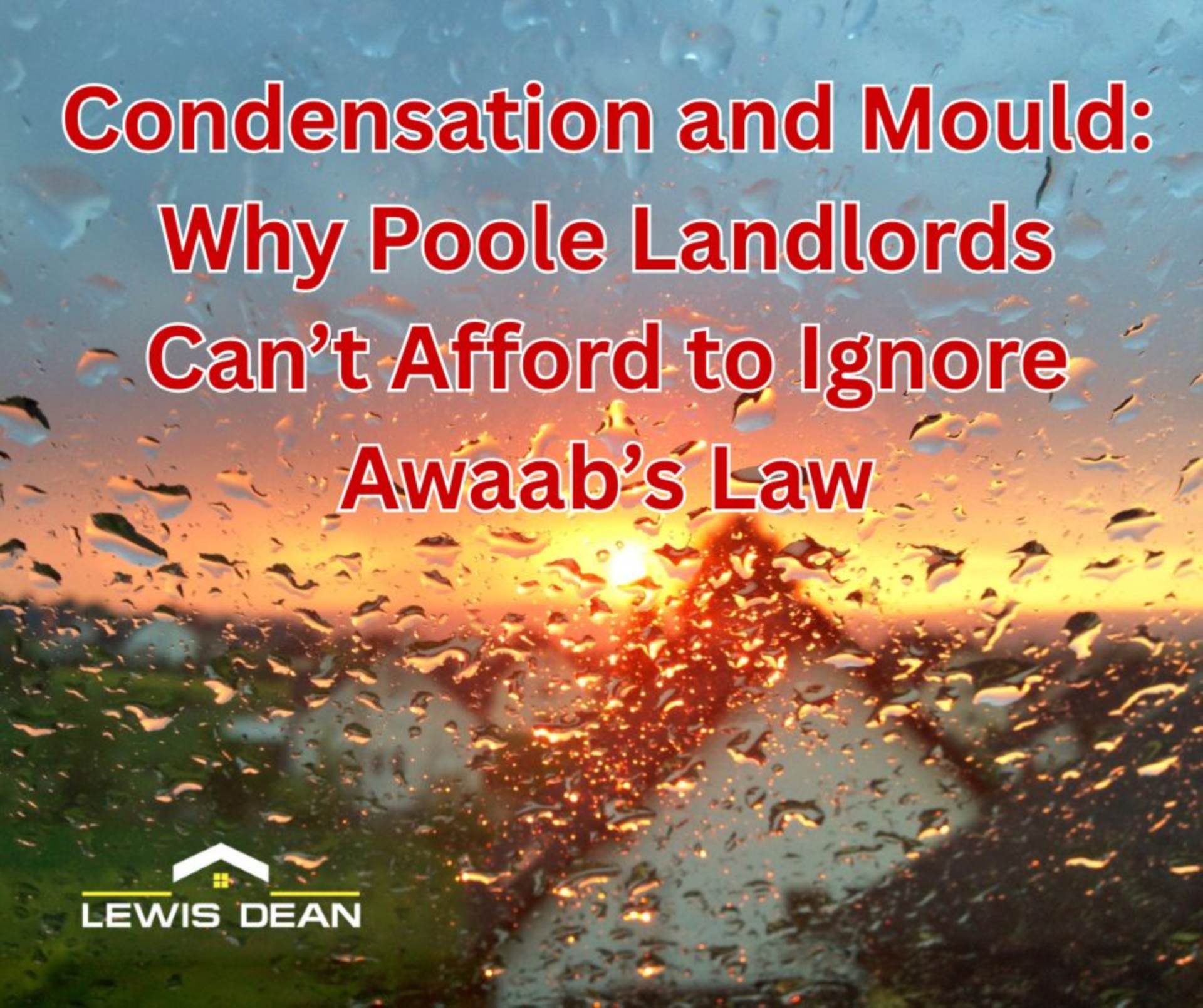 Condensation and Mould: Why Poole Landlords Can`t Afford to Ignore Awaab`s Law