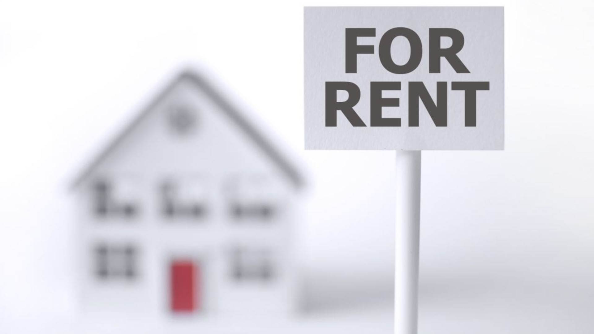 Poole landlords seek insurance ahead of Renters` Rights Act