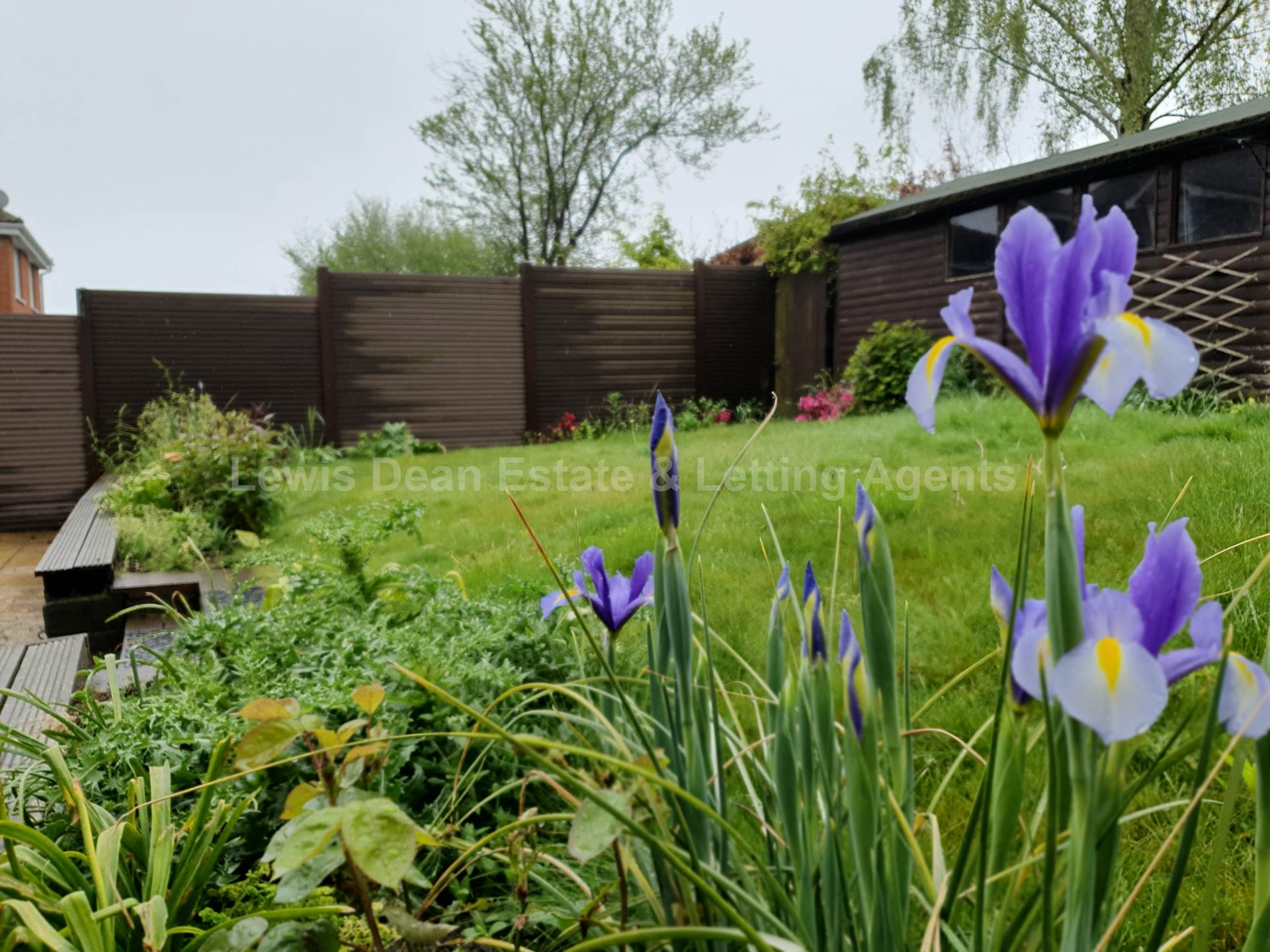Close to Cobbs Quay - Family Home, Image 17