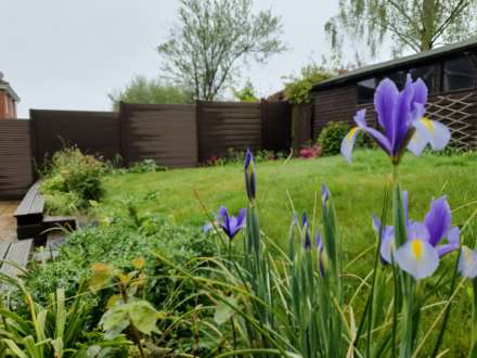 Close to Cobbs Quay - Family Home, Image 17