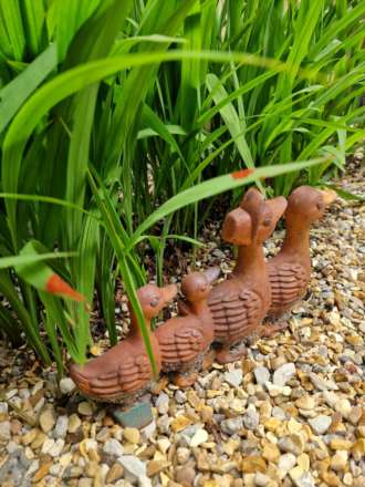 Baiter Park, Poole, Dorset., Image 12