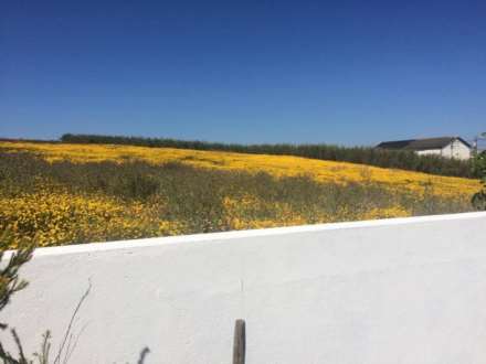 Casal Da Murta, Lourinha, Portugal, Portugal, Image 7