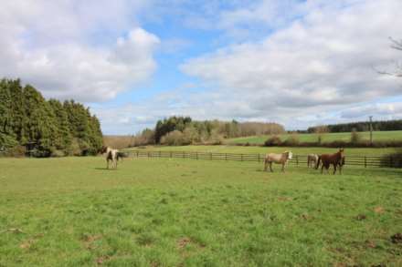 Le Sap, Normandie, France a Golden opportunity to own a piece of history in a quiet location surrounded by your own land, Image 2