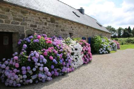 Plounerin, Brittany, France A magnificent 8 acre property, Home with income or 3rd generation home, Image 2