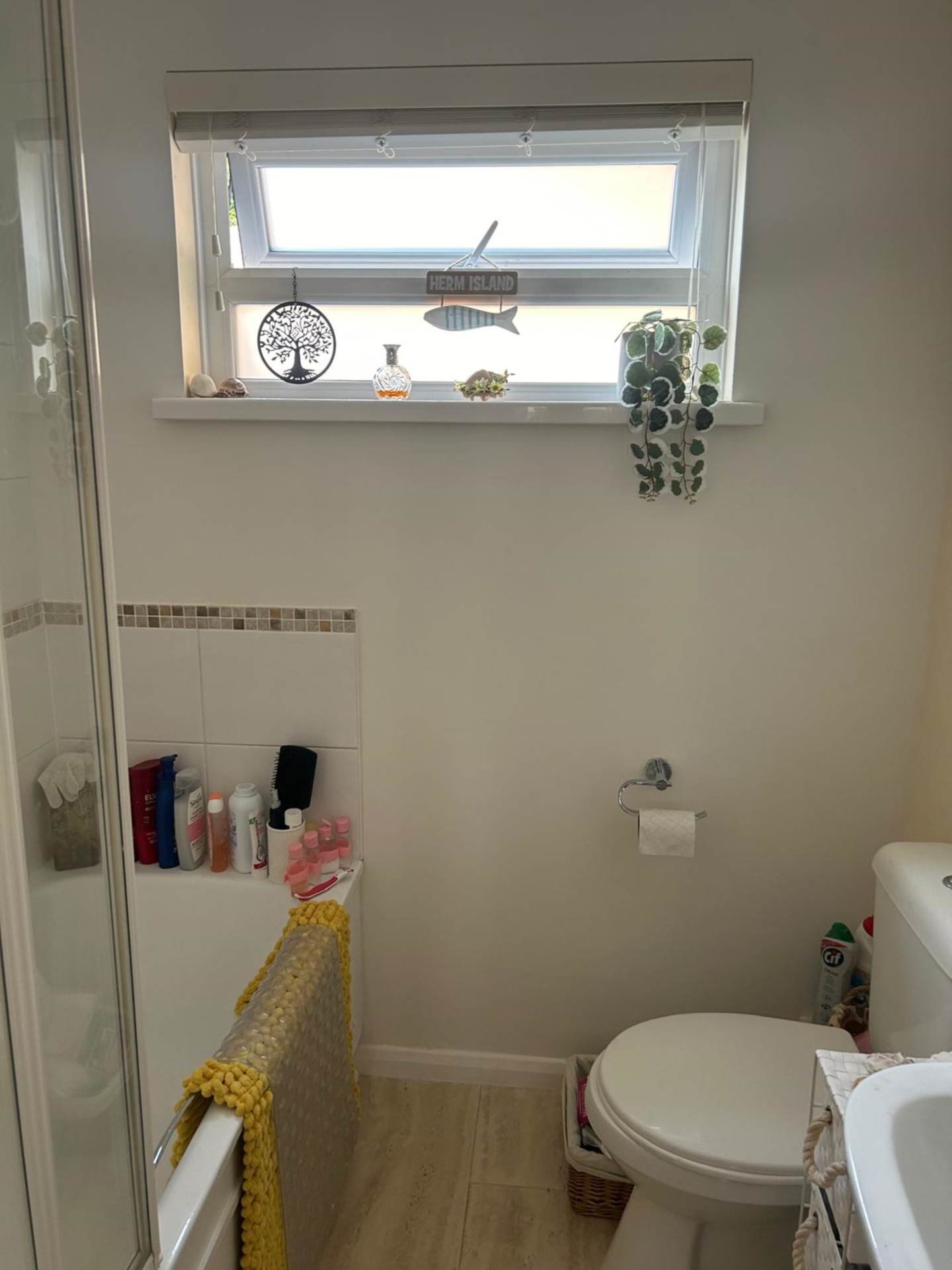 immaculate apartment self contained one double bedroom, bathroom separate kitchen, large lounge GREAT INVESTMENT, Image 4