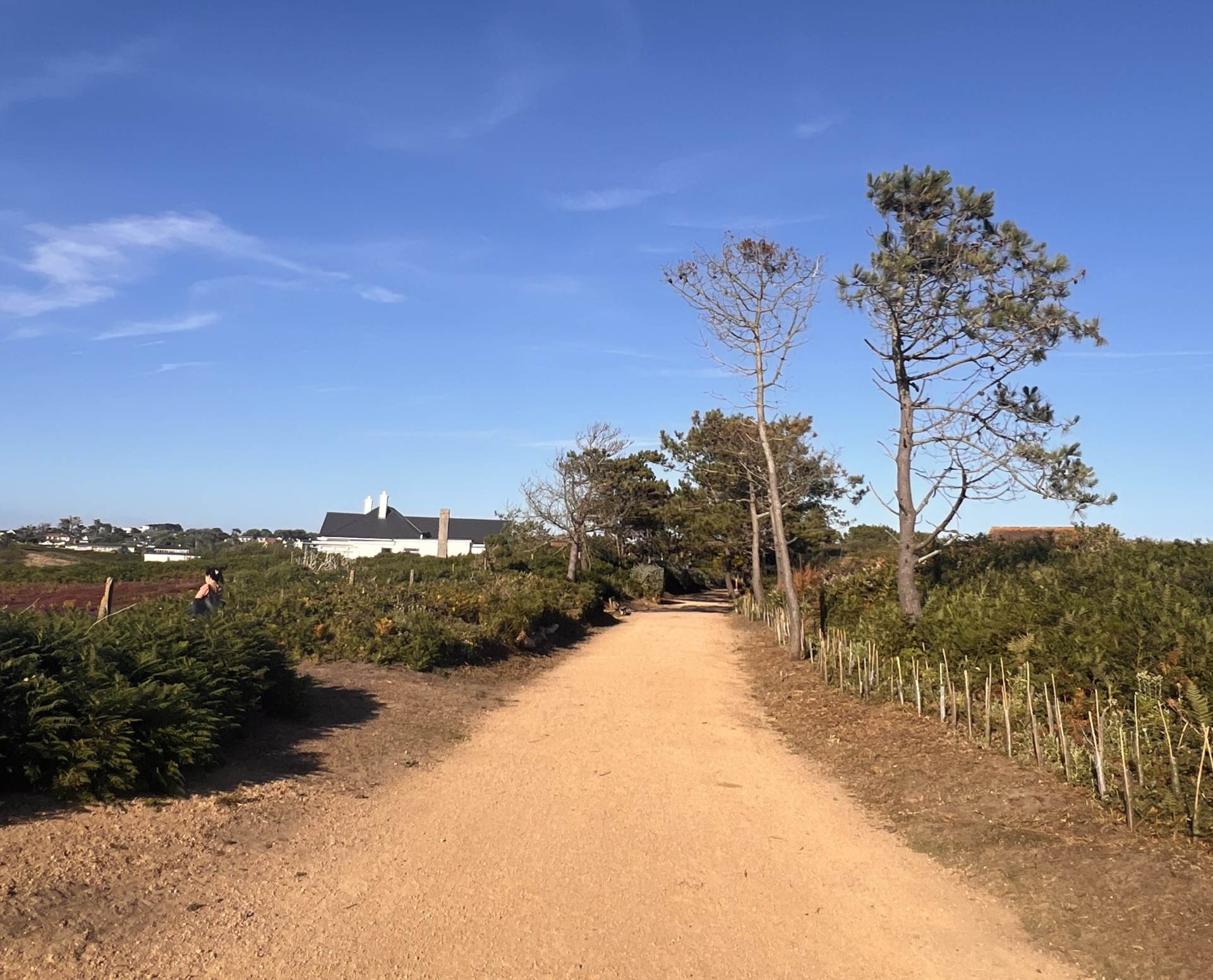St Brelade - Seagrove Court, Image 31