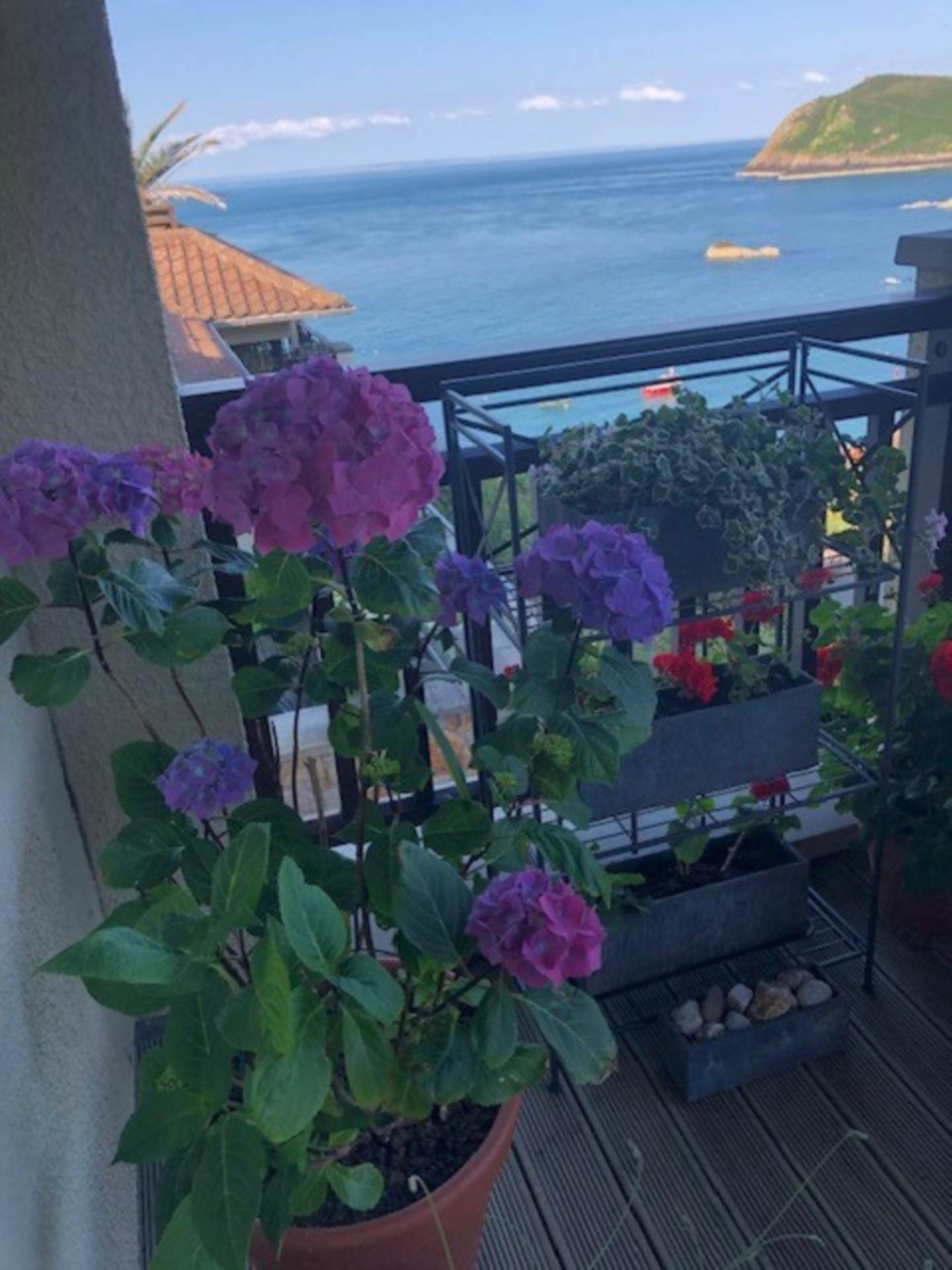 A home with a view, and more than meet the eye, Image 14