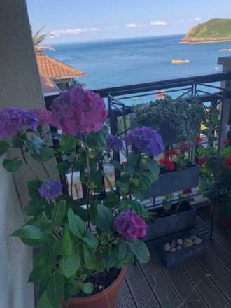 A home with a view, and more than meet the eye, Image 14