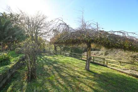 FAR  RFOM THE MADDENING CROWD, Image 16