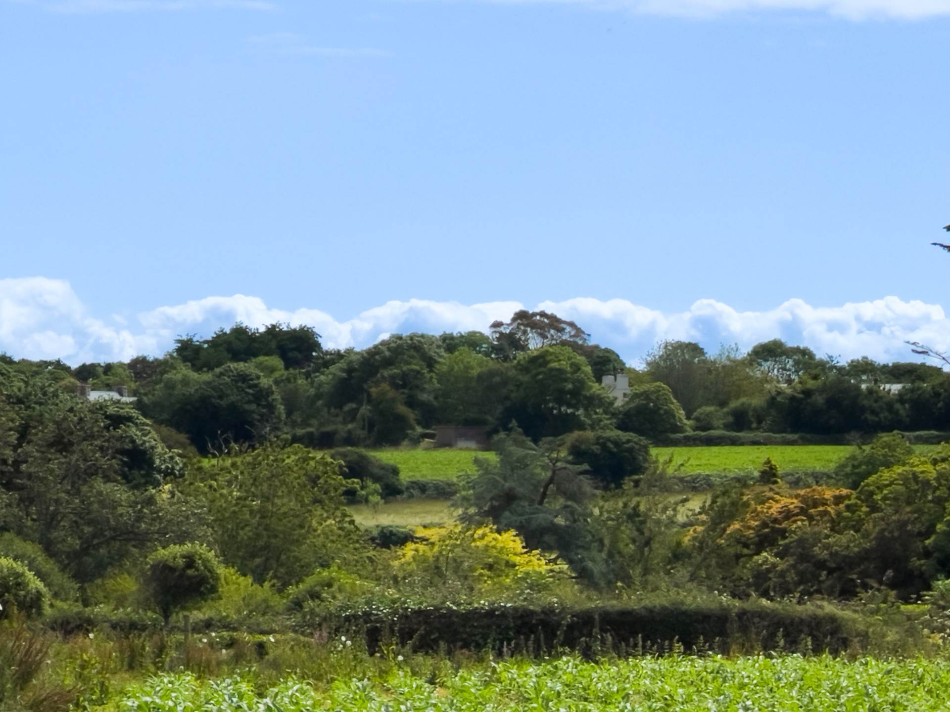 MORE THAN MEETS THE EYE A HOME THAT CATERS FOR ALL THE FAMILY, 2-3 GENERATION WITH LARGE FARMHOUSE, AND SO IT GOES ON, Image 6